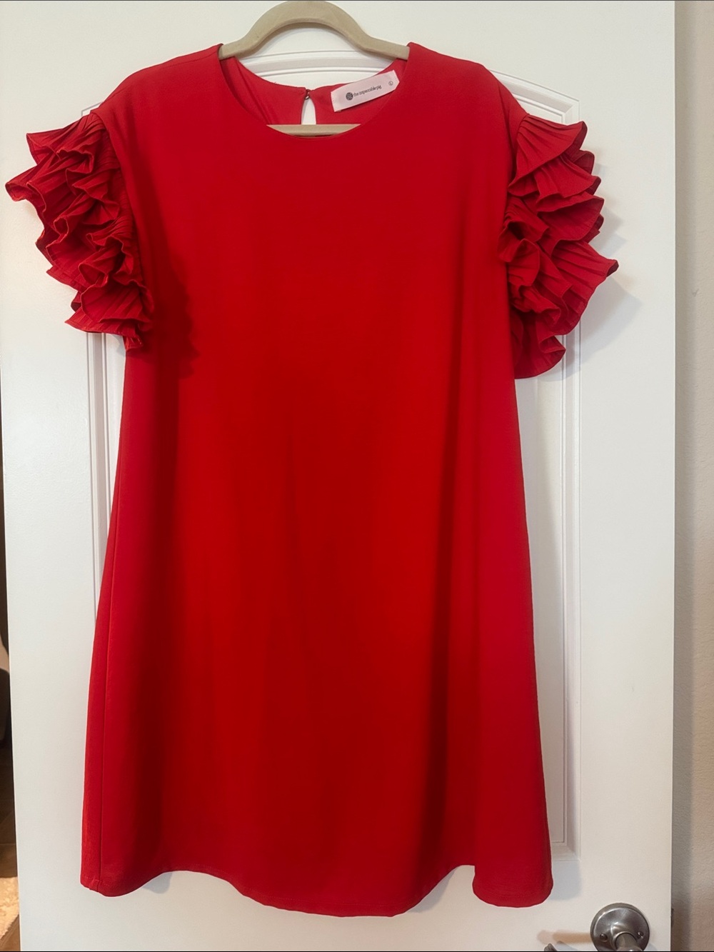 The Impeccable Pig Red Ruffle Sleeve Mini Dress